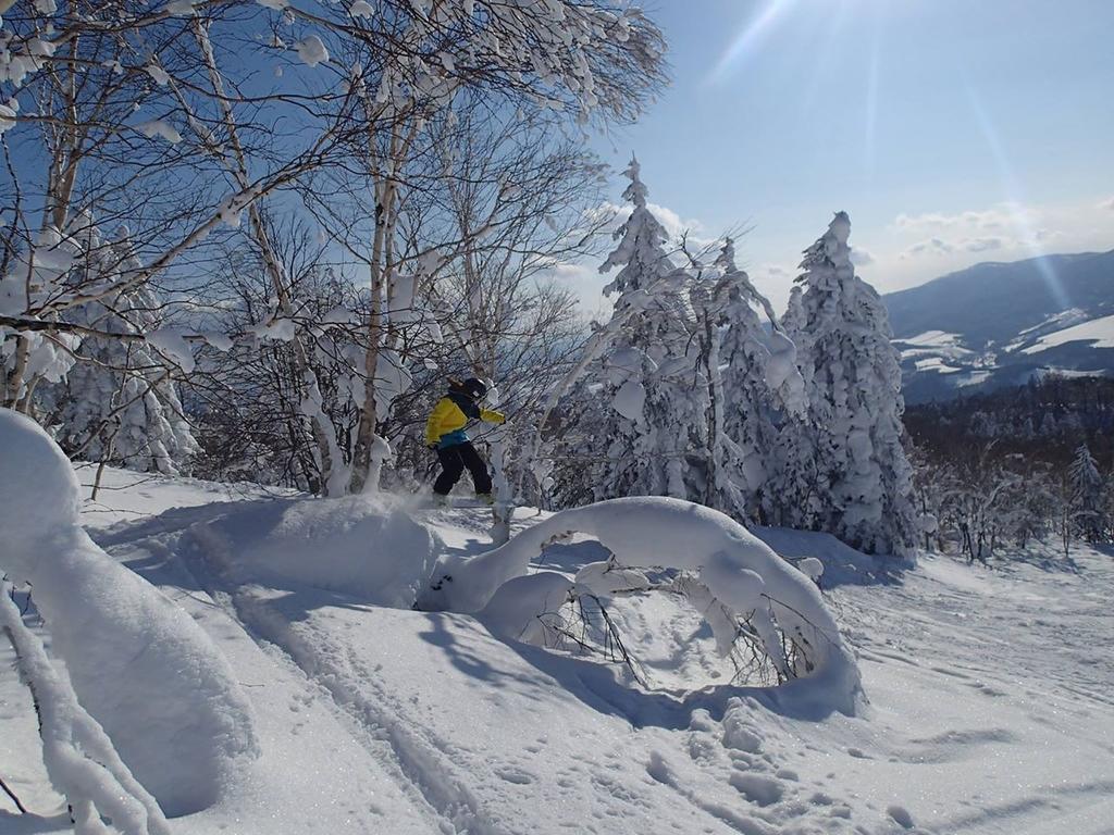 Hoshino Resorts Asahikawa Grand Hotel المظهر الخارجي الصورة